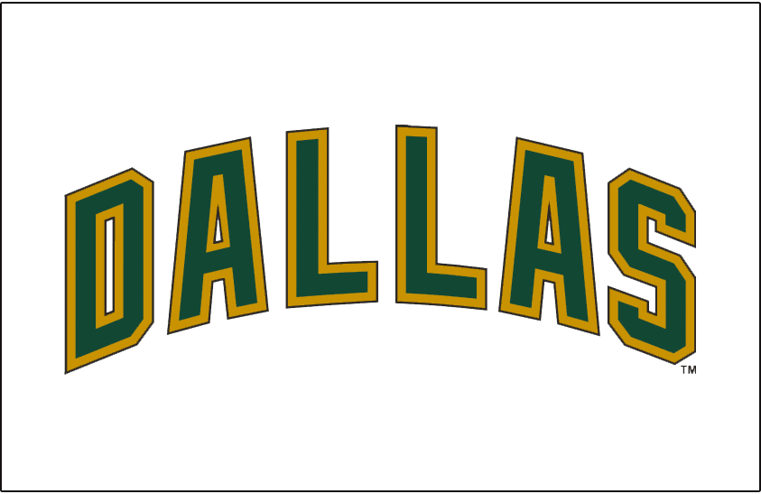 Dallas Stars 2008-2013 Jersey Logo DIY iron on transfer (heat transfer)